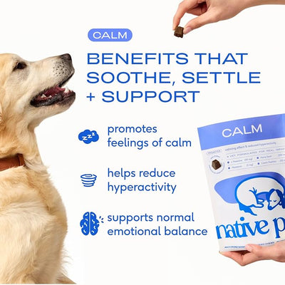 Native Pet Calming Chews for Dogs Medium Breed - 60 Calming Dog Treats - Hemp Seed, Melatonin, L-Theanine - Supports Calm Behavior - 120 Chews