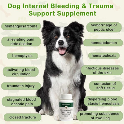 Yunnan Sanqi Capsules for Dogs, Herbal Quick Stop Bleeding, Blood Support for Hemangiosarcoma, Hemoabdomen, Cancer Bleeding, Pericardial Effusion, Ulcer-Related Bleeding, Bloody Stools - 90 Capsules