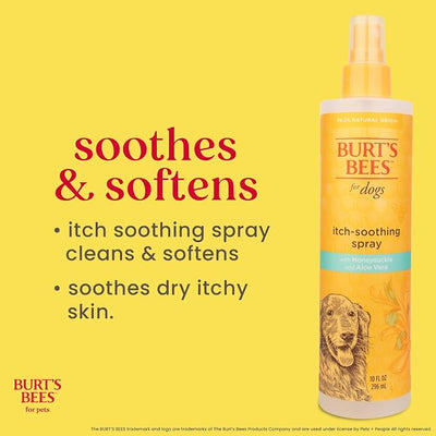 BURT'S BEES FOR PETS Anti Itch Dog Spray with Honeysuckle and Honey, Waterless Grooming Mist for Dry Flaky Skin, Dog Itch Relief Between Baths, Natural Origin Coat Care for Dogs, 10 Fl Oz - 2 Pack