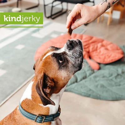 V-dog Kind Jerky - 100% Vegan Jerky Dog Treats - Plant Based Protein and Superfoods - 8 Ounce - All Natural - Made in the USA