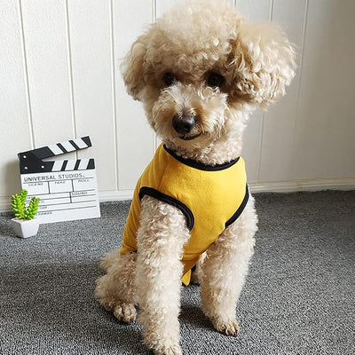 Dog’s Recovery Suit Post Surgery Shirt for Puppy, Wound Protective Clothes for Little Animals(Yellow-m)