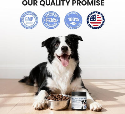Anti-Itch Dog Allergy Chews – Skin Relief Soft Chews for Hotspots, Dry Skin & Paw Licking – Supplement with Fish Oil & Probiotic – Immune Support – 180ct