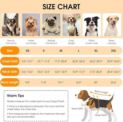 Queenmore Dog Winter Coat, Cold Weather Fleece Jacket for Dogs, Waterproof Reflective Reversible, for Small, Medium and Large Dogs (Grey, XS)