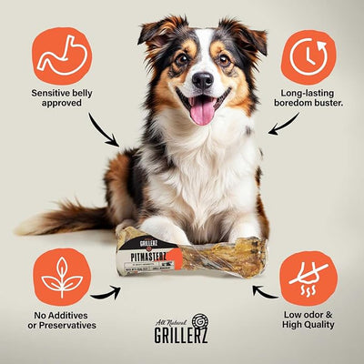 Grillerz Scott Pet Beef Mammoth Bone, 1 Count, Beef Bones for Dogs, Rawhide Free, Dog Chew for Healthy Teeth & Gums, High Protein, Easy to Digest, Long Lasting, Natural Treats for All Breeds