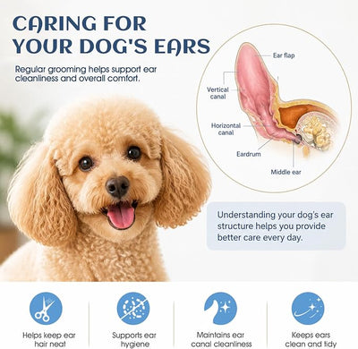 Dog Ear Powder for Hair Removal Kit – 42g Ear Powder for Dogs with Curved Grooming Tweezers, Helps Remove Excess Ear Hair & Reduce Odor for Poodles, Schnauzers, Shih Tzus & Other Breeds