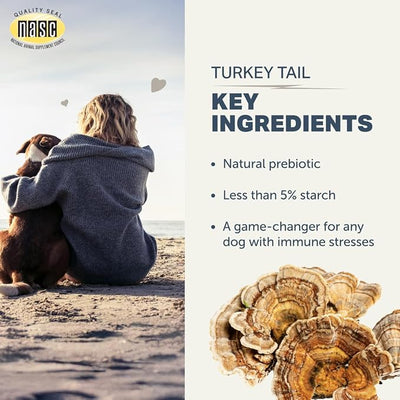 Four Leaf Rover Turkey Tail Mushroom for Dogs - Organic Mushroom Extract with Over 50% Beta-Glucans - Third Party Tested - Made in USA