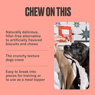 NOMNOMNOW Chicken & Cranberry Flavored Treats - Dog Snacks for Training, Rewards, and Mealtime Toppers - No Artificial Flavors or Colors - Prepared in the USA for Dogs 7oz