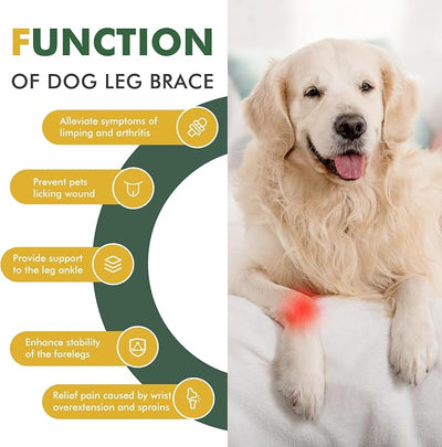 Pair of Dog Leg Braces for Front Hock Joint, Dog Front Leg Wrist Brace with Metal Spring Inserts, Dog Leg Sleeve with Reflective Straps, Prevents Injuries and Sprains, M/L