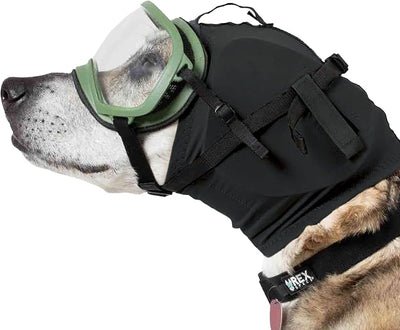 Rex Specs Ear Pro | Noise Cancelling Ear Wraps for Dogs | Dog Ear Muffs Noise Protection