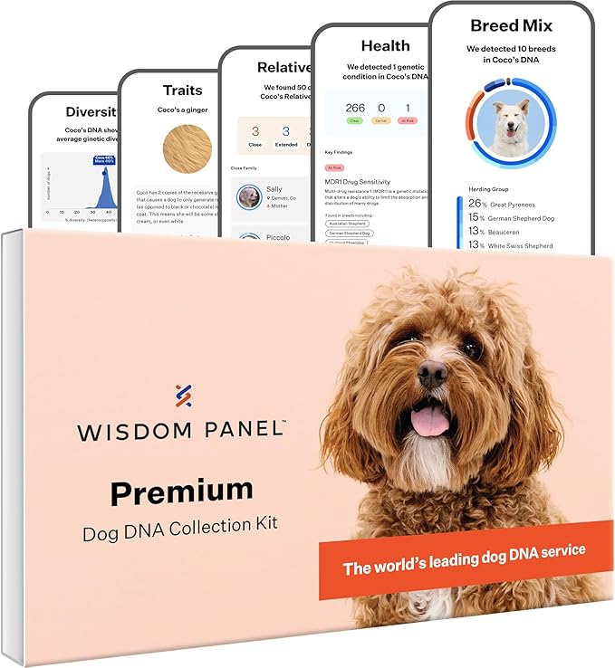 Wisdom Panel Premium Dog DNA Testing Kit - Most Comprehensive Test - 265+ Health Tests, 430+ Dog Breeds, 50+ Traits, Relatives, Ancestry, 1 Pack