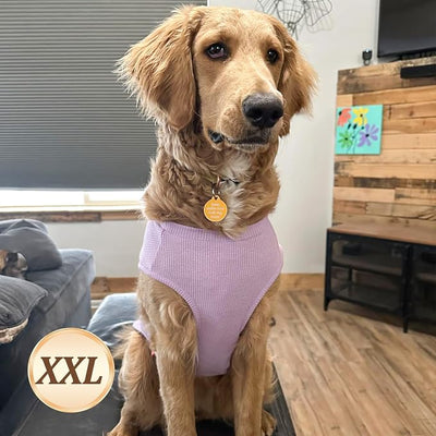 KYEESE 2Pack Waffle Dog Shirts, Lightweight Sleeveless Dog T Shirts for Medium Large Dogs Boy Girl, Breathable Pet Vest Comfortable Tank Top Soft Dogs Clothes for Daily Wear, Purple+Grey, 2XL