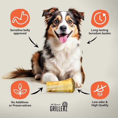 Grillerz Small Beef Shank Bone, 1 Count, Beef Bones for Dogs, Rawhide Free, Dog Chew for Healthy Teeth & Gums, High Protein, Easy to Digest, Long Lasting, Natural Treats for All Breeds