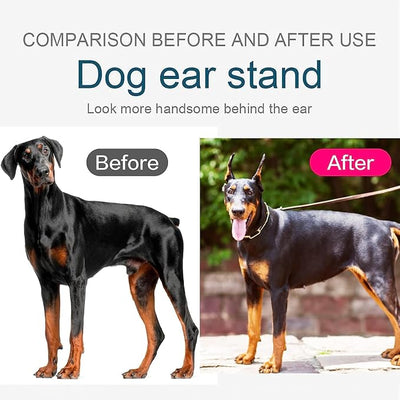 Pacify Doberman Dog Ear Posting Kit, Dog Ear Stand Up Support Tool with Tape Doberman Pinscher Dogs