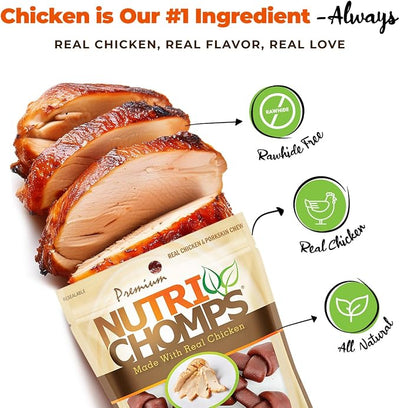 NutriChomps Dog Chews, 2.5-inch Knots, Easy to Digest, Rawhide-Free Dog Treats, 8 Count, Real Chicken flavor