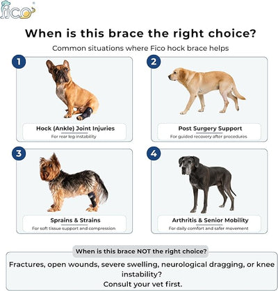 Dog Hock Brace for Ankle Support & Arthritis, Vet Approved Dog Back Leg Brace, Adjustable with Removable Splints, Orthopedic Support for Injuries, Sprains & Post-Surgery Recovery (Small)