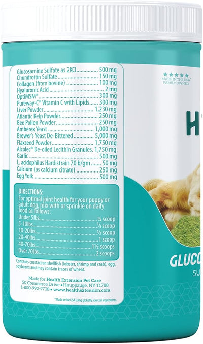Health Extension Chondroitin with Glucosamine for Dogs, 16oz - Arthritis Pain Relief, Joint & Hip Supplement, Cheese Flavored Powder