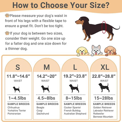Mkono Male Dog Belly Band Wraps Washable Dog Diapers Male for Small and Medium Dogs, Waist 22.8 Inches to 28.8 Inches(3 Pack,Blue,White,Yellow)