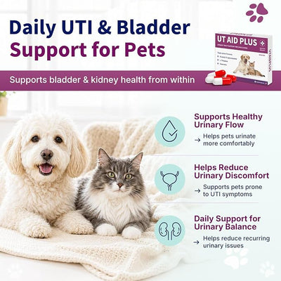 Natural UTI Treatment for Cats & Dogs – Antibiotic-Free Urinary Tract Infection Support Supplement – Bladder & Kidney Health – Incontinence Prevention – 30 Capsules