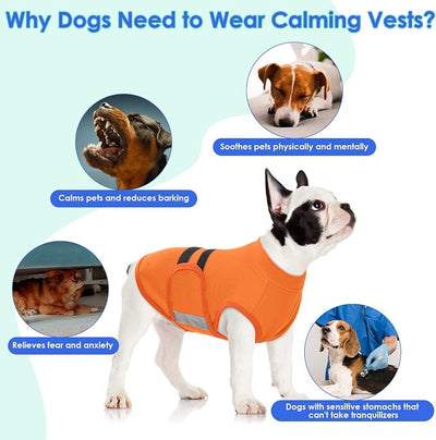 MIGOHI Dog Anxiety Relief Coat,Comfort Anxiety Vest for Dogs,Adjustable Dog Anxiety Calming Wrap for Fireworks,Thunderstorms,Travel, Separation,Anxiety Jacket for Small Dogs, XS,Orange