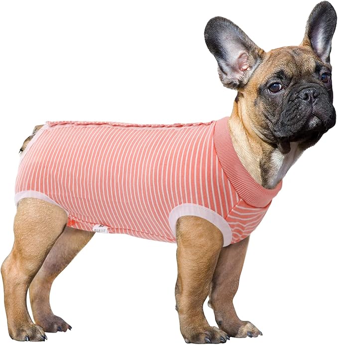 SAWMONG Recovery Suit for Dogs After Surgery Professional, Dog Spay Surgical Suit for Female Dogs, Dog Onesie Bodysuit for Surgery Male Substitute E-Collar Cone, Pink, X-Large