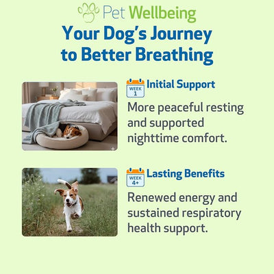Pet Wellbeing Respir-Gold for Dogs - NASC Certified & Vet-Formulated Liquid Lower Respiratory & Lung Supplement with Black Cumin & Boswellia for Allergic Airway & Breathing, Natural Bacon Flavor, 2 oz