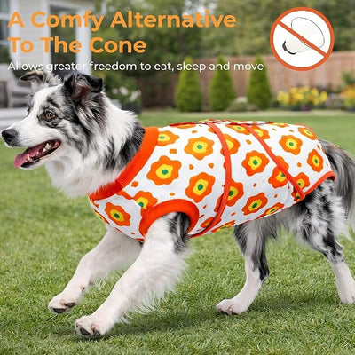 Surgery Recovery Suit for Female/Male Dog After Spay/Neuter, Bandana Set Included, Substitute E-Collar & Cone Anti Licking Wounds, Medium/Large/Small Dogs Body Surgical Suits, Pet Onesie, M