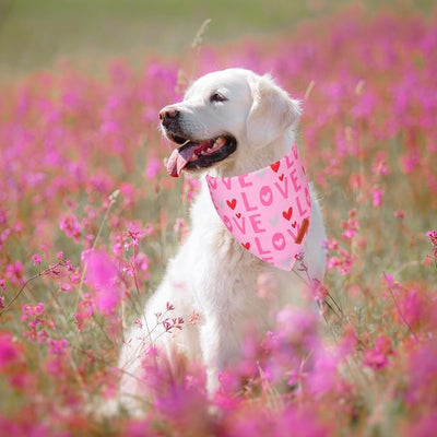 ADOGGYGO Valentine Dog Bandana, Heart and Love Pet Scarf, Premium Durable Fabric, Red Pink Valentine Bandanas for Large and Extra Large Dogs (X-Large)