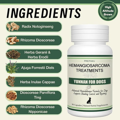Quick Stop Bleeding for Dogs, Natural Yunnan Sanqi Capsules for Hemangiosarcoma, Hemoabdomen, Pericardial Effusion, Cancer Bleeding, Severe Bruising, Ulcer-Related Bleeding, Bloody Stools-90 Capsules