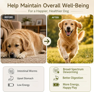 Dewormer for Dogs Fenbendazole Dog Dewormer for Tapeworms, Roundworms, Hookworms and Whipworms