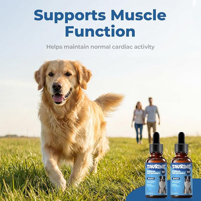 Taurine Supplement for Dogs Drops, Daily Amino Acid Liquid Drops for Heart Function, Muscle Support, Energy Balance & Physical Stability, 60 ml