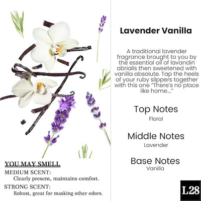 HoogaLife Car Air Freshener Diffuser 2 Pack Hanging Air Freshener Diffuser -Lavender Vanilla Fragrance Oil Air D iffuser for Car, 45+ days Long Lasting Fragrance Made in USA C ar Air Fresheners (L28)