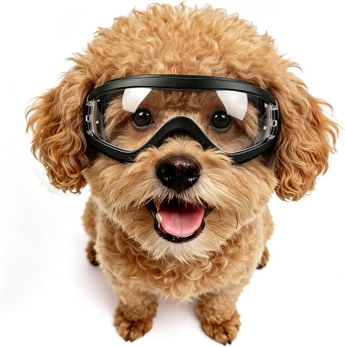 Enjoying Clear Dog Goggles for Small Dogs, UV Protection Pet Sunglasses for Small Dog Breeds, Windproof Dust-Proof, Little Dog Eye Protection for Outside Cycling Driving, Adjustable Straps, Clear