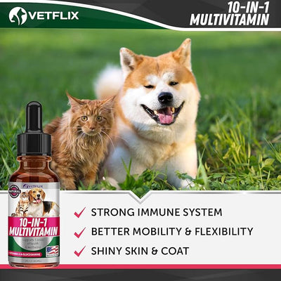 10 in 1 Pet Liquid Vitamins for Dogs, Cats, Puppies and Kittens, 2 Fl Oz | Glucosamine and Multivitamin Supplement, Joint Support, Immune Support, Skin Health, Made in USA