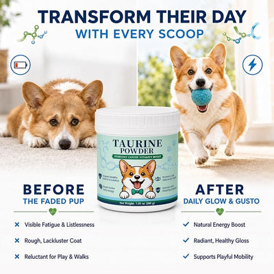 Taurine Powder for Dogs, Doggy Taurine Supplement, Supports Heart Health, Vision, Skin & Coat, Boosts Energy & Daily Wellness, with Dosing Spoon, 200 Grams