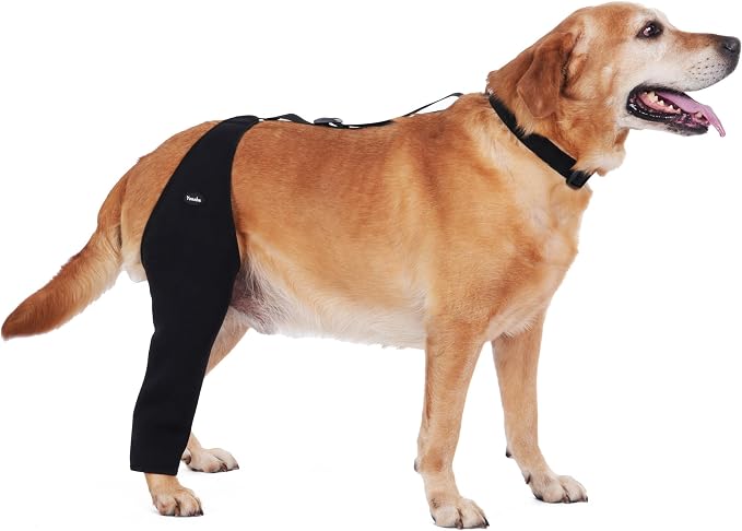 Dog Recovery Sleeve for Back Leg, Breathable Material, Dog Leg Sleeve to Stop Licking and Biting, Firm and Secure, Adjustable Size, Comfortable Alternative to Cone Collars (Small, Single Leg)