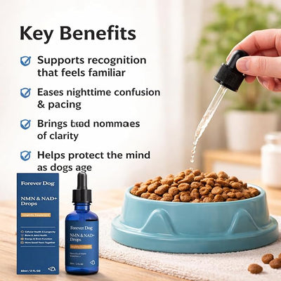 NAD+ Formula, Cognitive Supplement for Senior Dogs, Helps Support Memory, Presence & Awareness