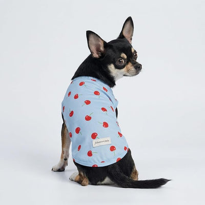 Fitwarm 2 Pack Ice Cream & Cherry UPF 50+ UV Sun Protection Dog Shirt, Lightweight Cooling Vest, Quick Dry Summer Clothes for Small Dogs Girl, Pet Outfit, Pink, Light Sky Blue, XS