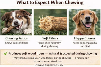 Coffee Wood Dog Chew - Natural Stick for Moderate Chewers, Safe Alternative to Nylon & Plastic, Large