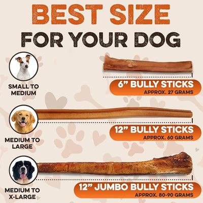 BRUTUS & BARNABY 6 Inch Bully Sticks for Dogs (12 Count) – Thick Grass-Fed Beef Pizzle Sticks, Odor Free Natural Dog Chews, Rawhide Free, Long Lasting for Small, Medium & Large Aggressive Chewers