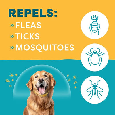 Only Natural Pet EasyDefense Non-Toxic Flea & Tick Collar for Dogs (2 Pack)