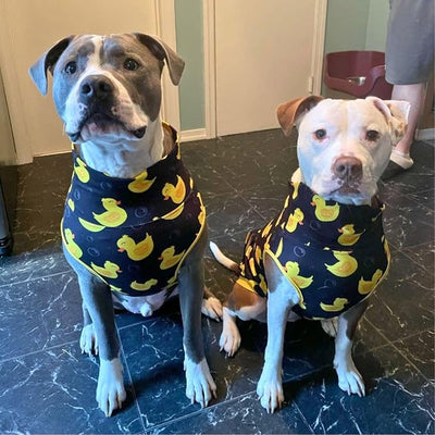 Pittie Clothing Pit Bull Muscle Tee for Dog Breed Dog Shirts Pet Printed Clothes Cool Funny