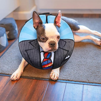 BEAUTYZOO Dog Cone Alternative After Surgery for Large Medium Small Dogs, Soft Inflatable Cone Collar for Dogs Cats, Pet Neck Donut E Collar Dog Recovery Collars to Stop Licking, Black Suit, S