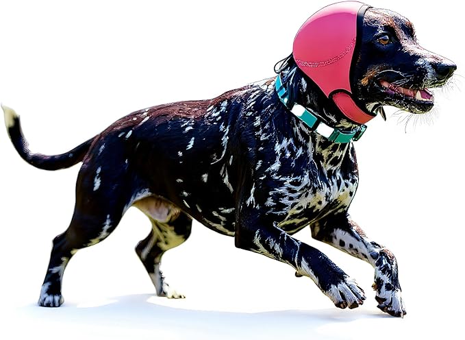Dog Ear Muffs Noise Protection Doggie Hush Covers Cancelling Headphones,for Dogs Anxiety Bath Swimming (Rose red, M)