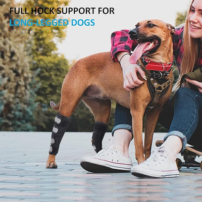 Dog Leg Brace for Rear Legs, Canine Hind Hock Brace, Joint Compression Warps Support for Back Leg with Injury Sprain, Wound Care and Loss of Stability from Arthritis Torn ACL CCL(1 Pair)