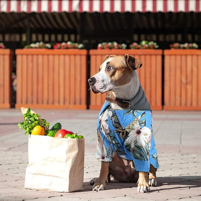 Weewooday 4 Pieces Small Pet Summer T-Shirts Hawaii Style Floral Pet Dog Shirt Breathable Cool Clothes Beach Seaside Puppy Sweatshirt for Puppy(Cute Style,Large)