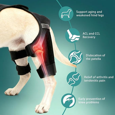 Dog Knee Braces for Torn ACL Hind Leg, Adjustable Dog Leg Braces for Back-Leg with Four Stabilizers for Luxating Patella Relieves Ligament Injury and Joint Pain (L)