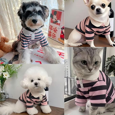 MANON ROSA Dog Clothes, Designer Boy Polo Shirt for Small Medium Dogs, Soft Puppy Outfit, Breathable Male Yorkie Chihuahua Shih Tzu Poodle Kitten Cat T-Shirt, Birthday Gifts - Pink, XS, Fit 1-3lbs