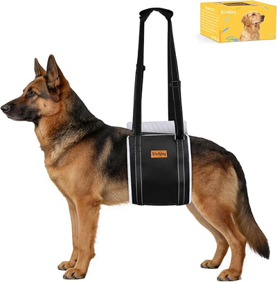 Vivifying Dog Lift Harness for Large Dogs, Soft Bird's-Eye Rear Leg Support Sling, Dog Lifting Harness for Weak Back Legs, Senior Injured Disabled Dogs, ACL Surgery Mobility Assist, L, White