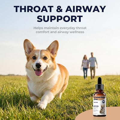 Collapsed Trachea Treatment for Dogs, Dog Cough Treatment, Trachea Cough Elixir, Natural Herbal Drops Help Soothe the Throat, Calm Honking Coughs & Support Easier Breathing, 2 fl oz