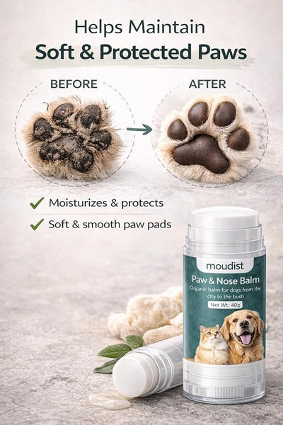 Dog Paw Balm Stick for Dogs & Cats – Lick-Safe Paw & Nose Balm for Dry Cracked Paws – Paw Protector for Hot Pavement & Winter Walks – No-Mess Moisturizing Formula (40g)